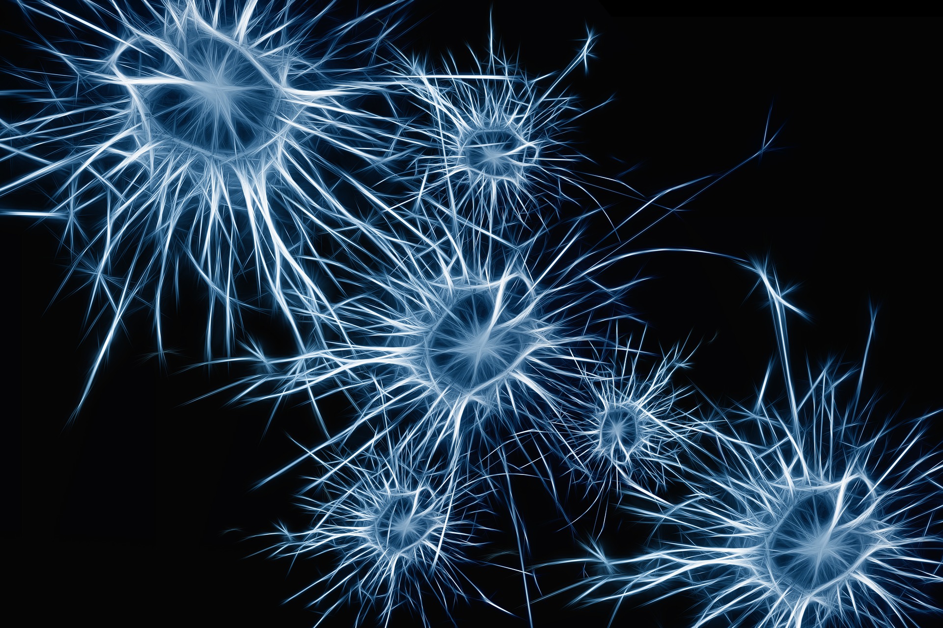 Imagerie Cérébrale Neurones cerveau neurones