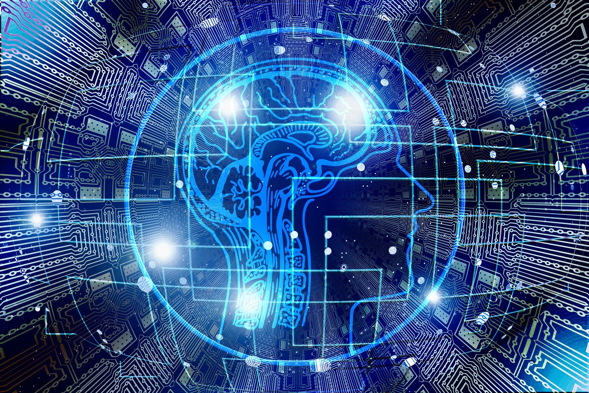 cerveau écrans vittoz benedicte Mogenet ecrans cerveau